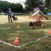 foire-haricots 2011-09-17et18